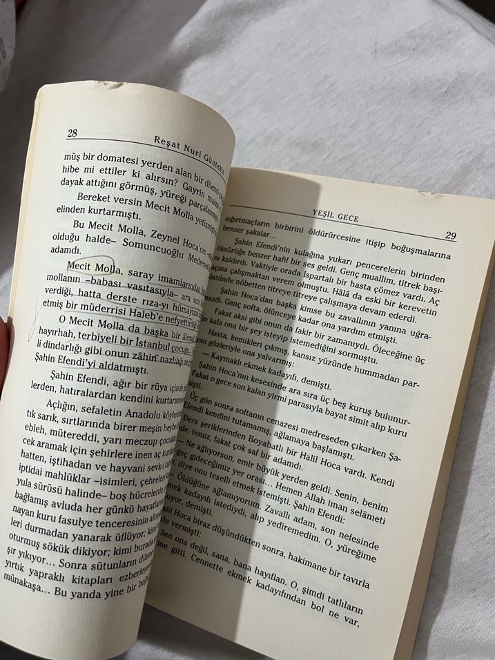 Reşat Nuri Güntekin - Yeşil Gece Romanı - Görsel 5