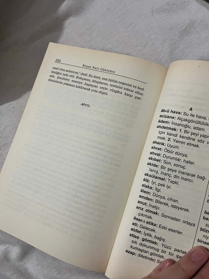 Reşat Nuri Güntekin - Yeşil Gece Romanı - Görsel 3