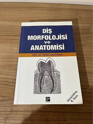 Diş morfolojisi ve anatomisi