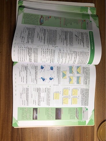 10.sınıf coğrafya test kitabı - Görsel 9