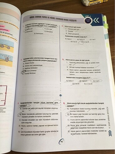 bilgi sarmal 9.sınıf biyoloji test kitabı - Görsel 6