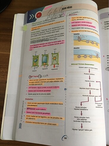 bilgi sarmal 9.sınıf biyoloji test kitabı - Görsel 5