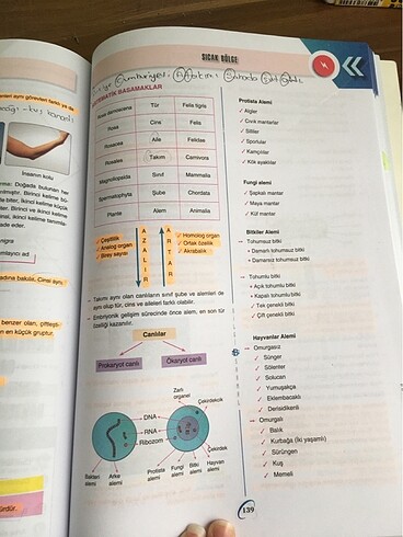 bilgi sarmal 9.sınıf biyoloji test kitabı - Görsel 12