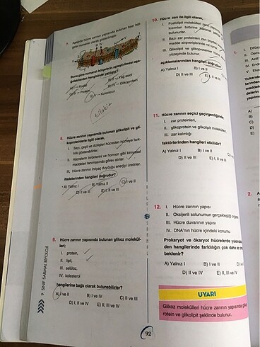bilgi sarmal 9.sınıf biyoloji test kitabı - Görsel 7