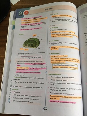bilgi sarmal 9.sınıf biyoloji test kitabı - Görsel 10