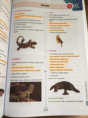 bilgi sarmal 9.sınıf biyoloji test kitabı - Görsel 17