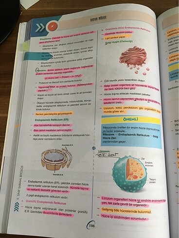 bilgi sarmal 9.sınıf biyoloji test kitabı - Görsel 8