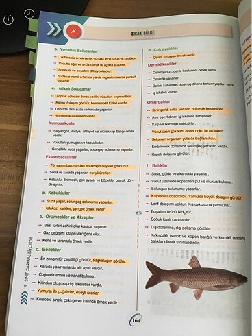 bilgi sarmal 9.sınıf biyoloji test kitabı - Görsel 16