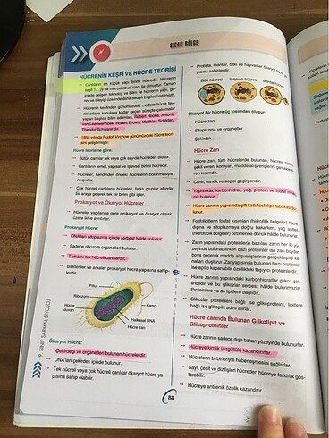 bilgi sarmal 9.sınıf biyoloji test kitabı - Görsel 3