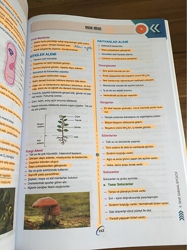 bilgi sarmal 9.sınıf biyoloji test kitabı - Görsel 15