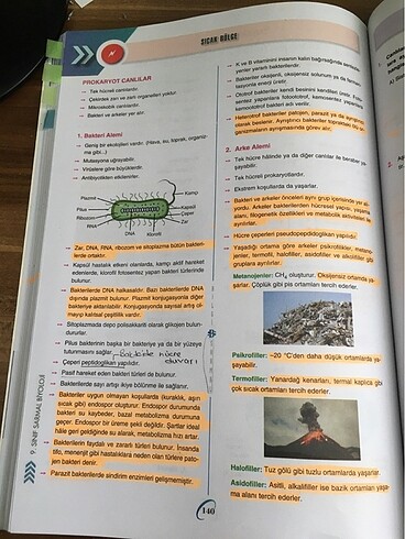 bilgi sarmal 9.sınıf biyoloji test kitabı - Görsel 13