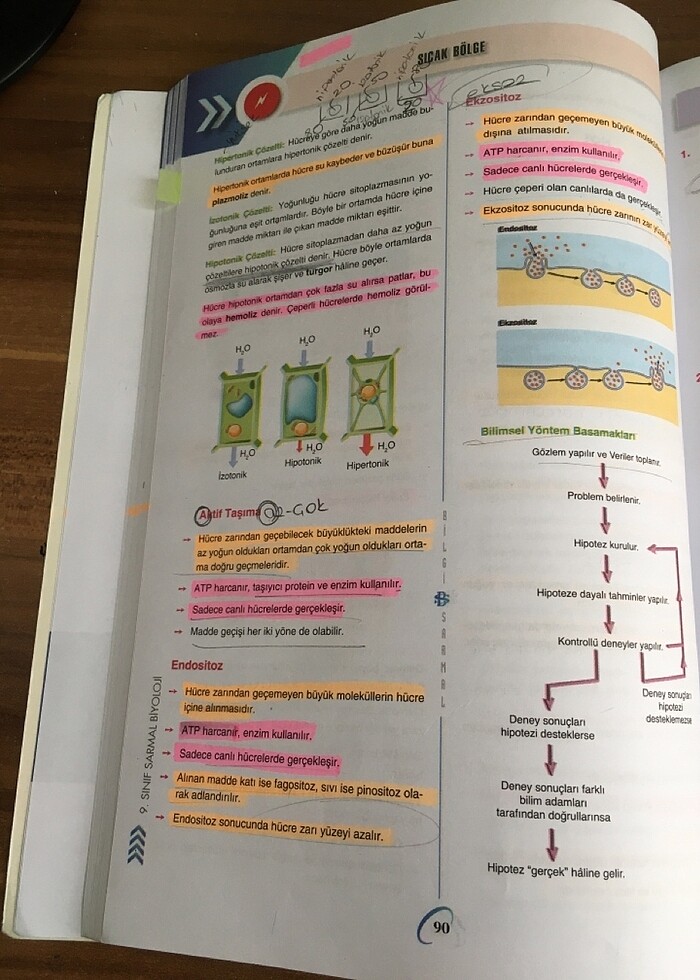 bilgi sarmal 9.sınıf biyoloji test kitabı - Görsel 5