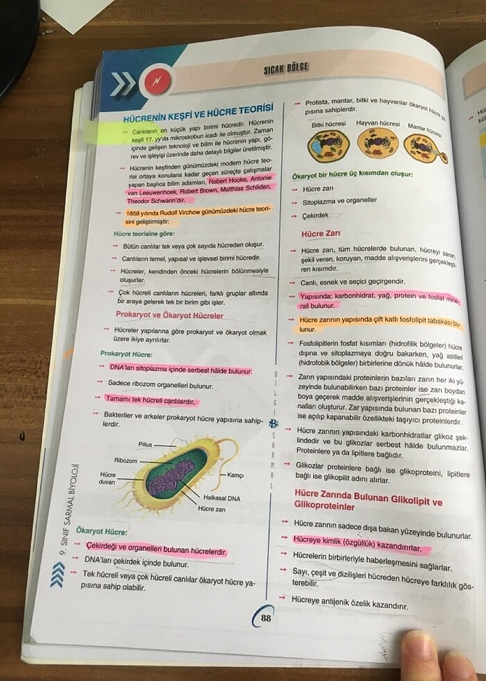 bilgi sarmal 9.sınıf biyoloji test kitabı - Görsel 3