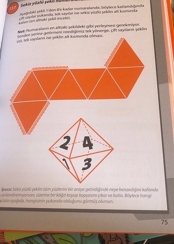 Beden Renk 365 Bulmaca ve Akıl Oyunu Kitabı