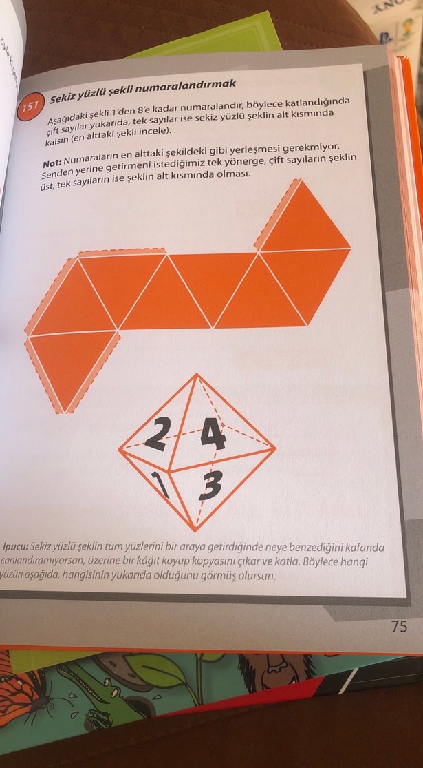 365 Bulmaca ve Akıl Oyunu Kitabı - Görsel 4