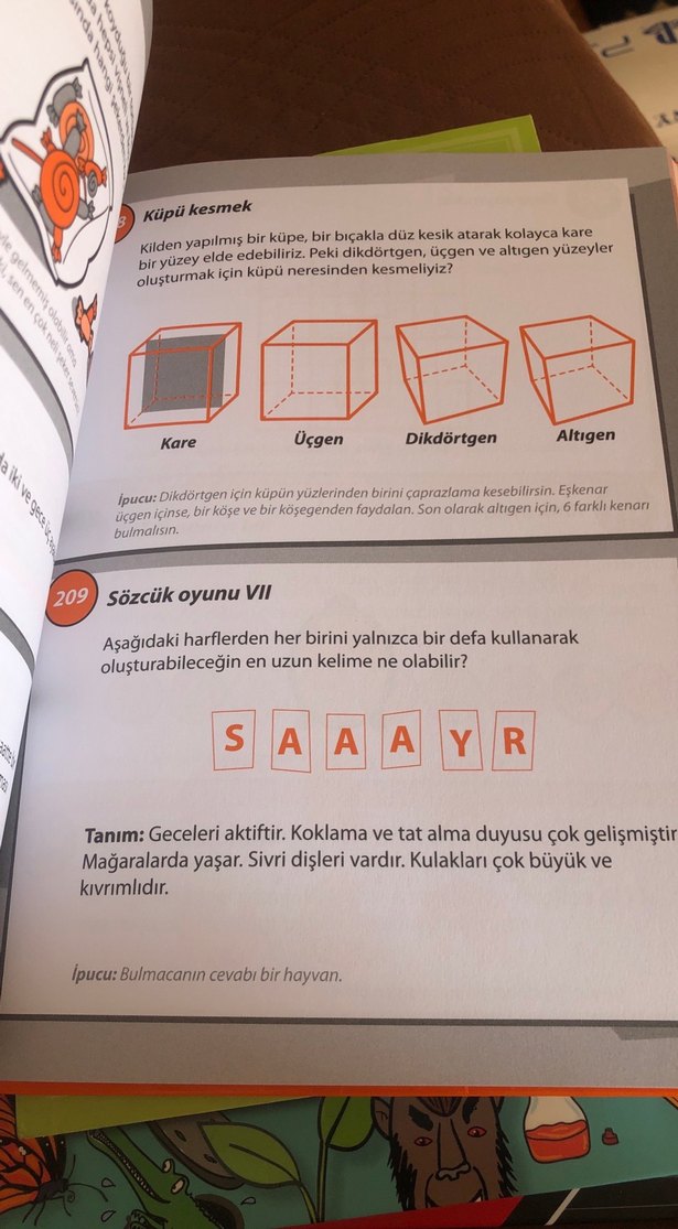 365 Bulmaca ve Akıl Oyunu Kitabı - Görsel 3