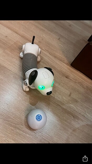 Robot köpek