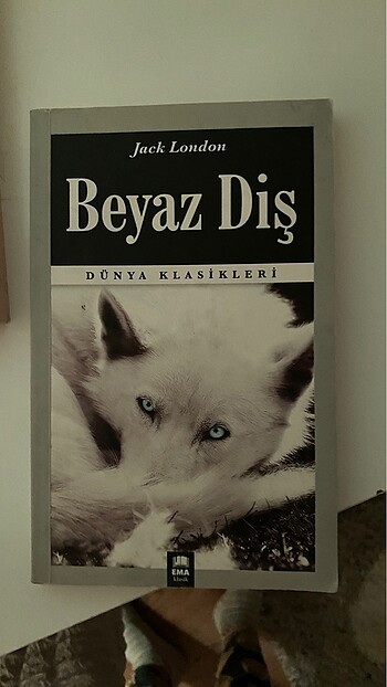 Kitap