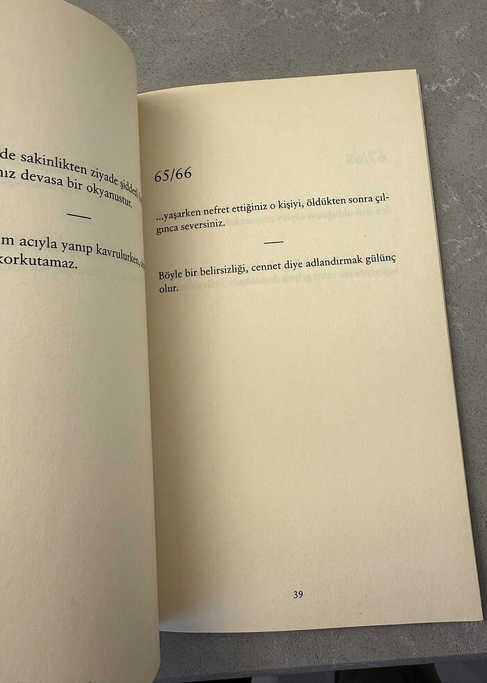 Edgar Allan Poe - Aforizmalar - Görsel 4