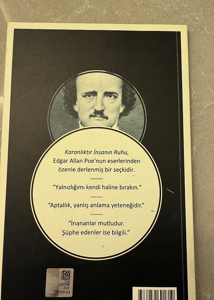 Edgar Allan Poe - Aforizmalar - Görsel 3