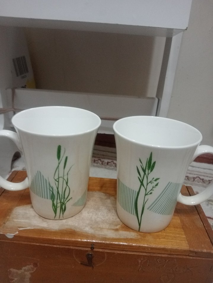 Yeşil Desenli Porselen 2'li Kupa - Görsel 2