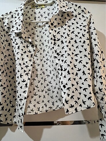 Crop Gömlek - Görsel 4