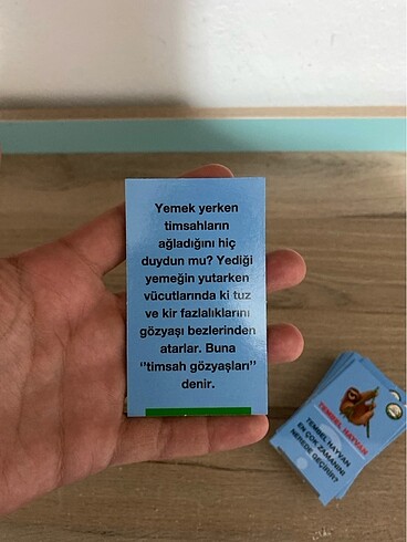 Hayvanları tanıma kartları - Görsel 4