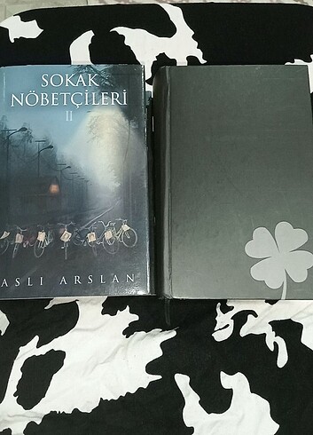 Sokak nöbetçileri 2 Aslı arslan 