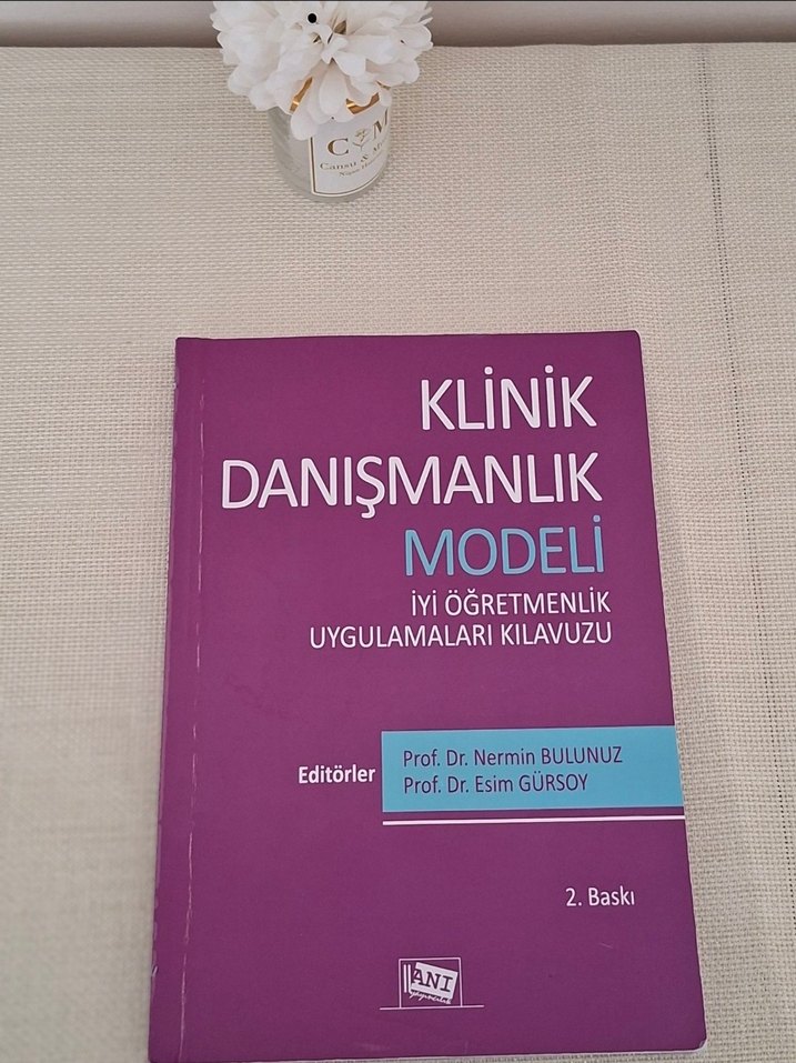 Klinik Danışmanlık Modeli Uygulamaları Kılavuzu - Görsel 2