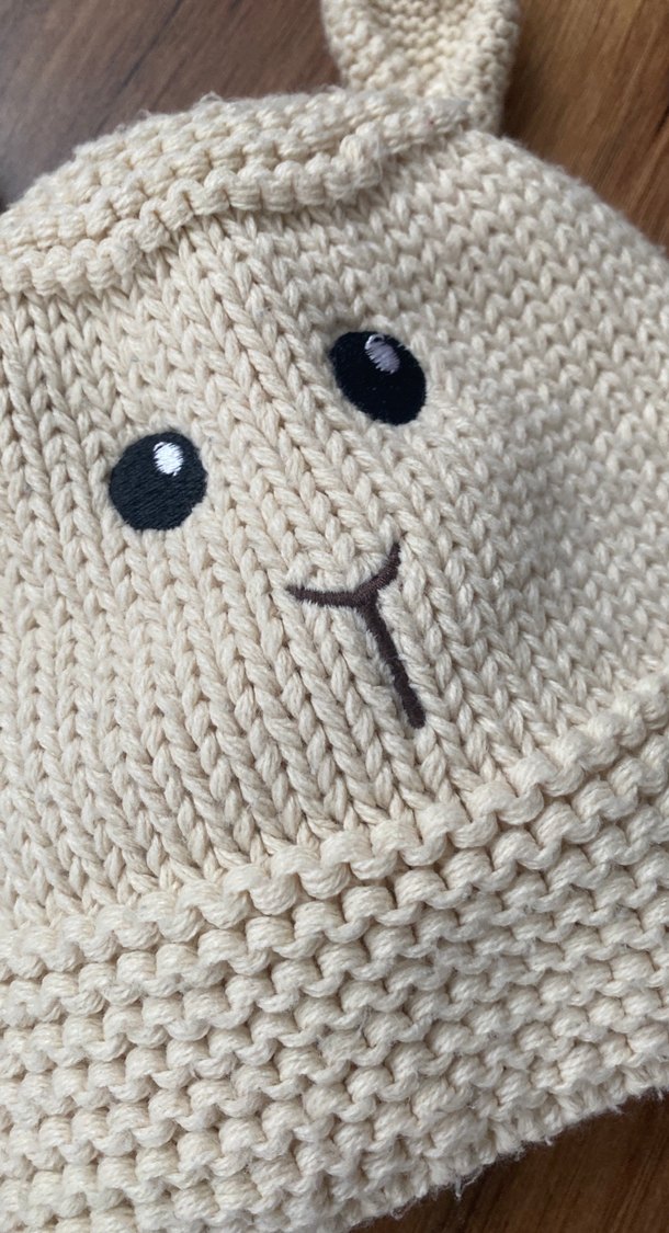 Nakışlı Çocuk Örgü Bere - Görsel 4