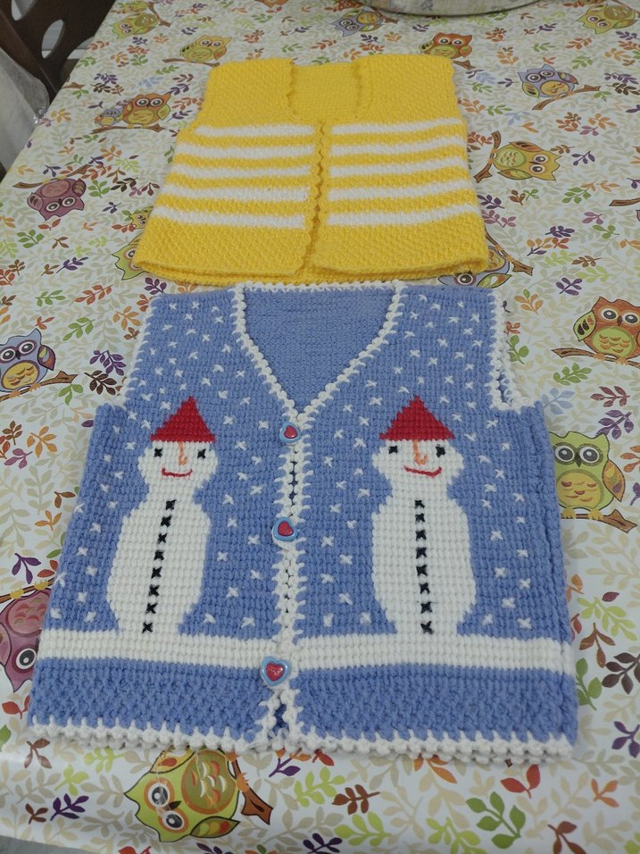 Nakışlı Renkli Kız Erkek Çocuk Örgü Yelek - Görsel 2