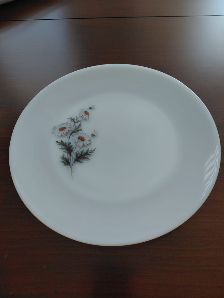 Arcopol France Beyaz Papatya Desenli Tabak - Görsel 2