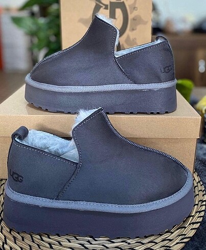 37 Beden Ugg bot