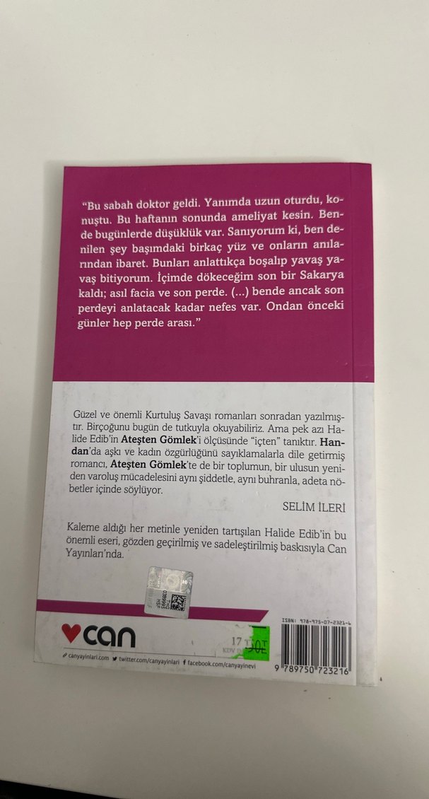Ateşten Gömlek - Halide Edib Adıvar - Görsel 2
