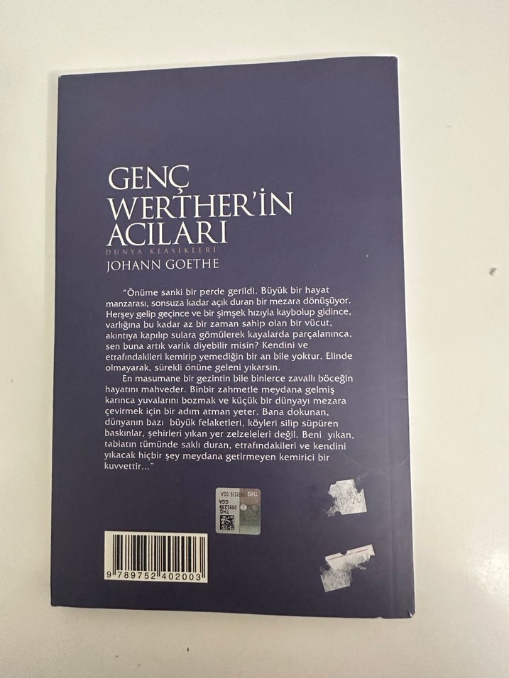 Genç Werther'in Acıları - Johann Goethe - Görsel 2