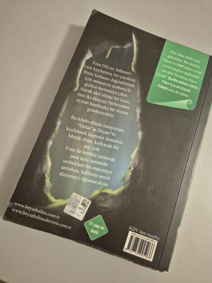 Yeraltına Düşen Çocuk - Harriet Goodwin - Görsel 2