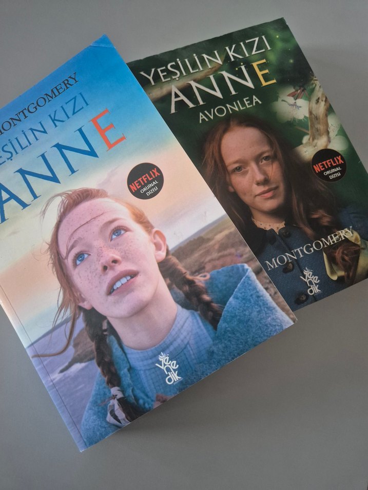 Yeşilin Kızı Anne Roman - Görsel 2