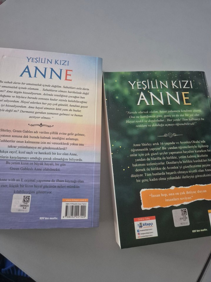 Yeşilin Kızı Anne Roman - Görsel 4