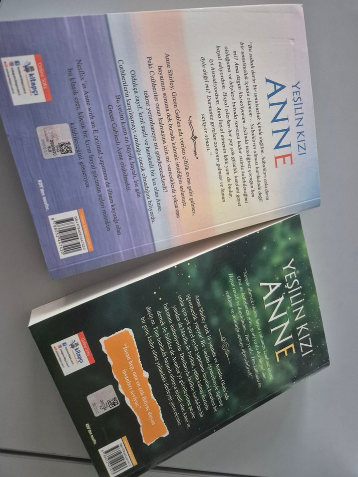 Yeşilin Kızı Anne Roman - Görsel 3