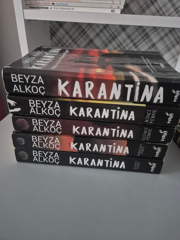 Beyza Alkoç - Karantina Serisi Kitap Seti - Görsel 2