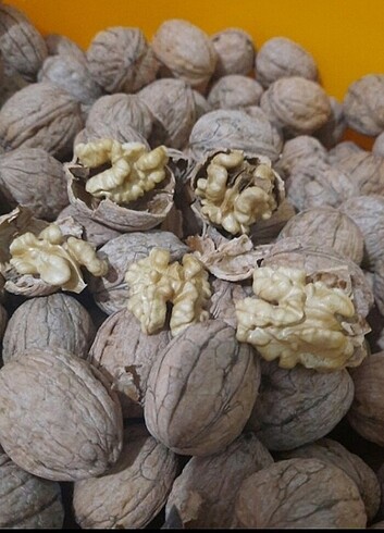 Beden camel Renk KABUKLU Ceviz 5 kg fiyatıdır