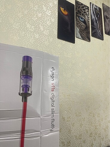 Dyson v11s