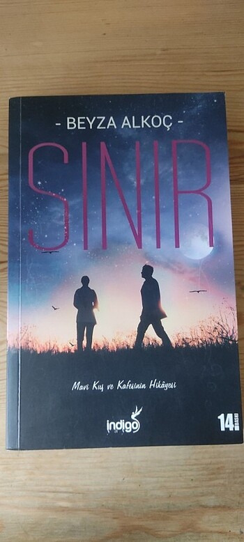  Beden Sınır& Sınırsız (Beyza Alkoç)