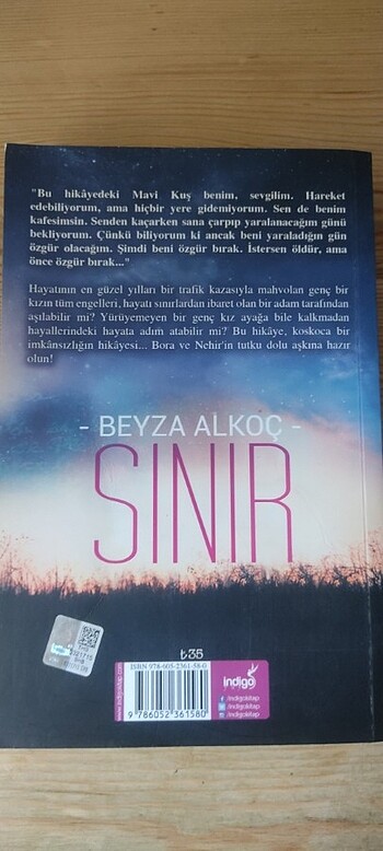  Beden Renk Sınır& Sınırsız (Beyza Alkoç)