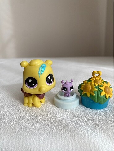 Miniş set