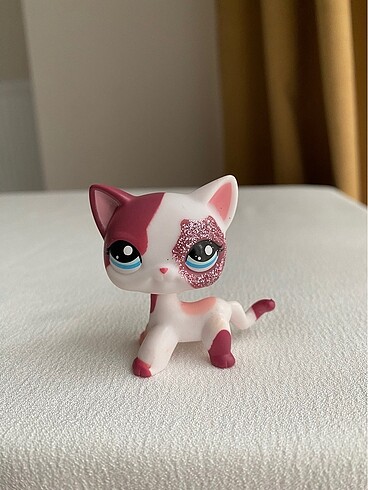 Kedi miniş