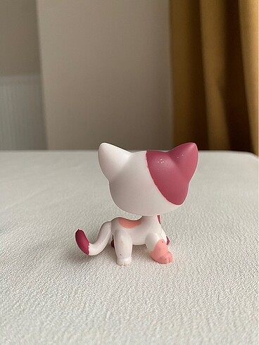 Kedi miniş