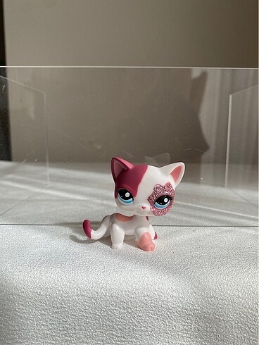 Kedi miniş