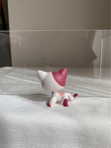  Kedi miniş