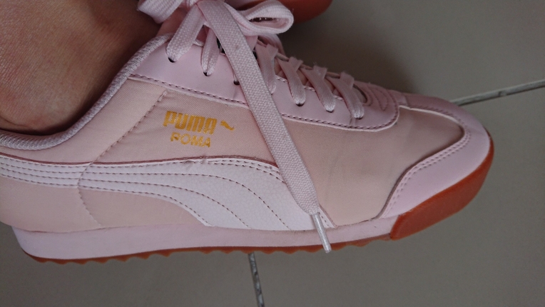 puma pembe 